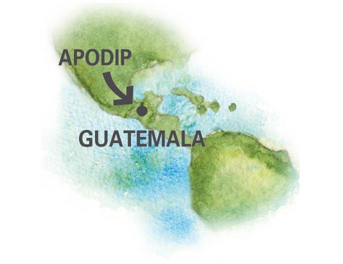 Carte Guatemala CoopÃ©rative APODIP Cardamome bio Ã©quitable